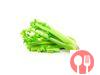 The stalk of celery