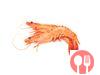 Tiger shrimp
