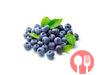 Blueberry