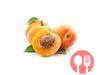 Apricot